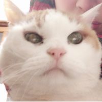 よしのし 会員画像