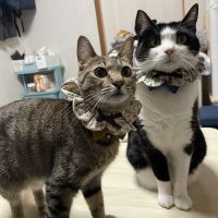 会員画像