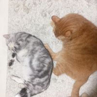 会員画像
