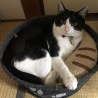 いつは 会員画像