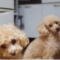 0Minami 会員画像