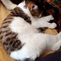 まつゆり 会員画像