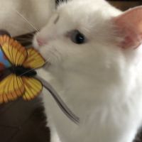 さちやん00さん