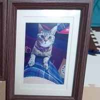 キムハハ 会員画像