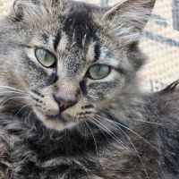 ミリ父 会員画像