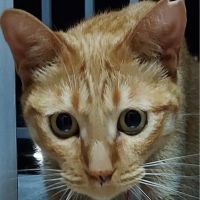 たまごスープさん