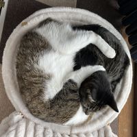 カル　レンさん