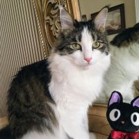 ユーリのママさん