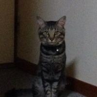 ゆうすけ♪ 会員画像