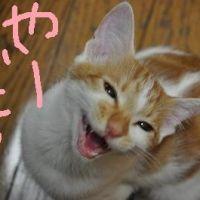 びょるん 会員画像