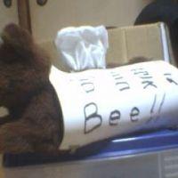 くろだ〜 会員画像