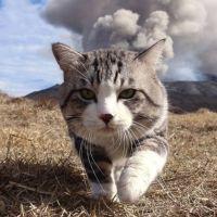 まか太郎 会員画像