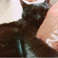 たまちゃんぺっさん