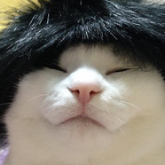 ねこりんご 会員画像