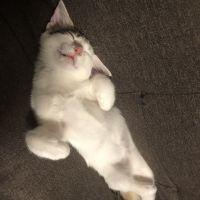会員画像