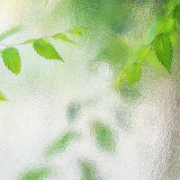 ダイジ 会員画像