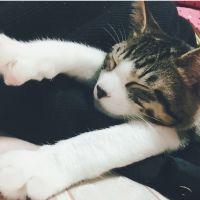 こにゃはわ 会員画像