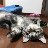 なお♡ 会員画像