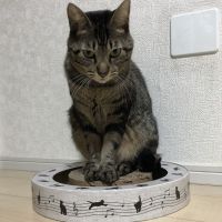 sクー 会員画像