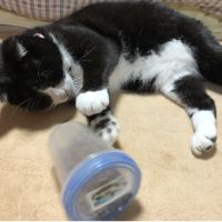 かつのり 会員画像