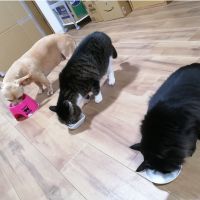 エピファネイア 会員画像