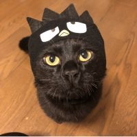 会員画像