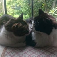 すーすす 会員画像