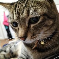 めるちゃんねるさん