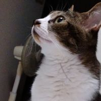 マメさん 会員画像