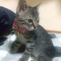 やよい0303 会員画像