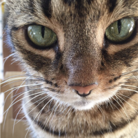 uzushiouzu 会員画像