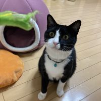 ルイジジ 会員画像