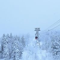 みやい 会員画像