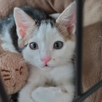 るーくるーく 会員画像