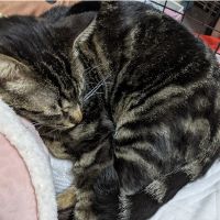 雫月姫 会員画像