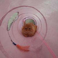 ライキ 会員画像