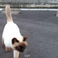 かんたろう 会員画像