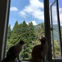 jyuraさん