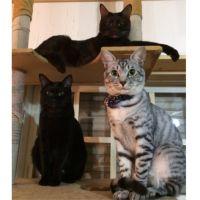 ちょこまる24さん