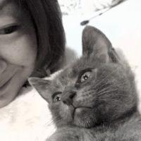 シルバーー 会員画像