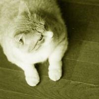 くりたろう