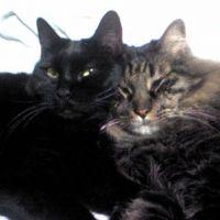 ルイーズ 会員画像