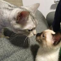さっつん 会員画像