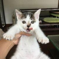 綾にゃんにゃん 会員画像