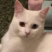 ぽはる 会員画像