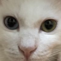 あゆづみ 会員画像