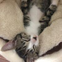 りょーぅ 会員画像