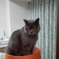 会員画像
