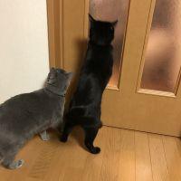 会員画像