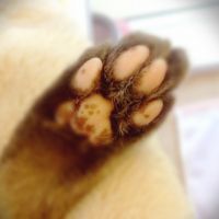 会員画像